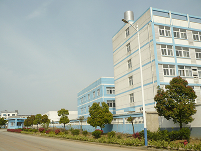 Company profile
